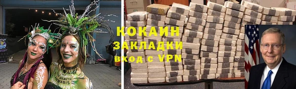 ПСИЛОЦИБИНОВЫЕ ГРИБЫ Пересвет